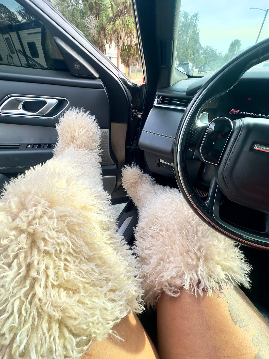 Mongolian Frost Thigh High Boots